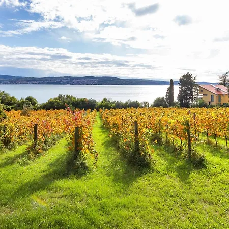 Panorama Seaview Kolomban - Happy בית נופש