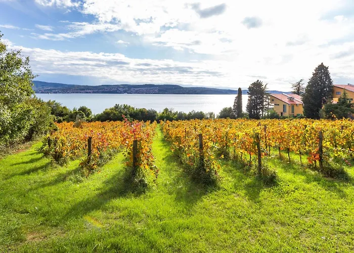 Panorama Seaview Kolomban - Happy بيت للعطل